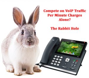 Competing with VoIP Minute Charges